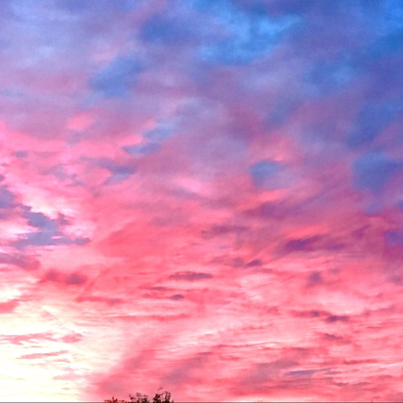 Meet your Posher, Kara - Picture 1 of 2